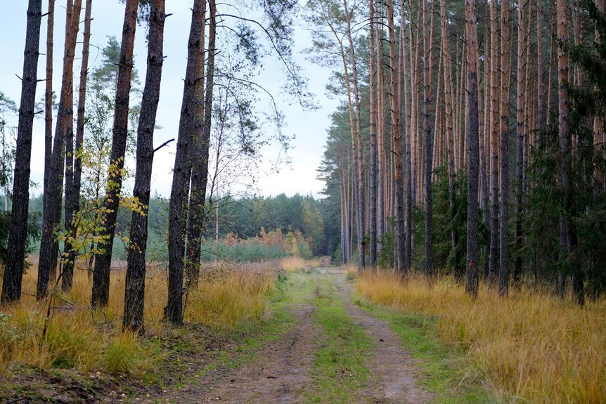 green communication route identifier