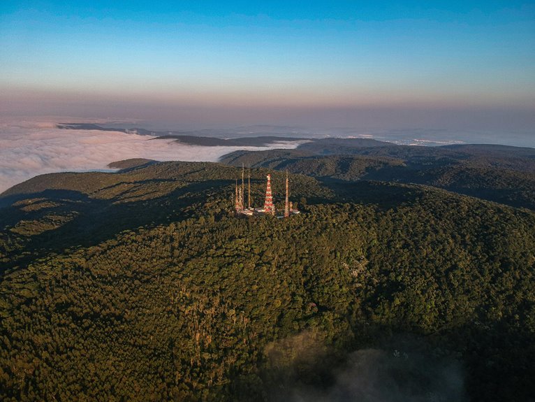 opaline crest identifier number