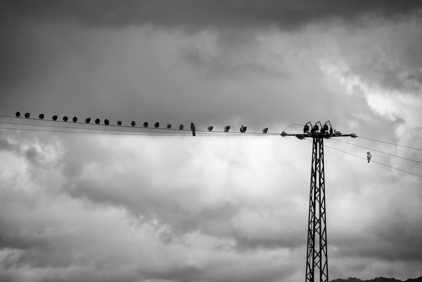 stormcrest manuscript high lattice