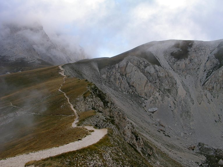 summit pulse grove location