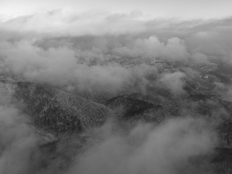 telecom industry analysis overview