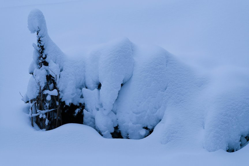 titanfall quantum drift archive