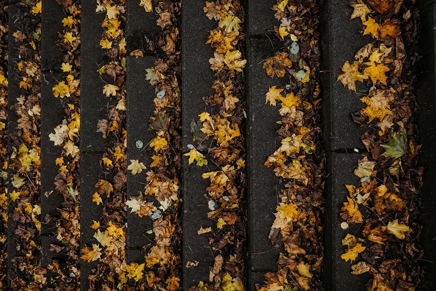 windfall ember stone code